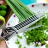 Tijeras para ensalada de cocina de 5 hojas GFOUK™
