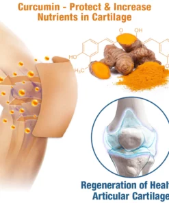 GFOUK™ ArthiCare Bee Venom Treatment Patch