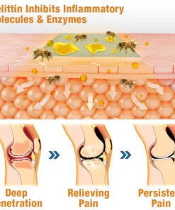 GFOUK™ ArthiCare Bee Venom Treatment Patch