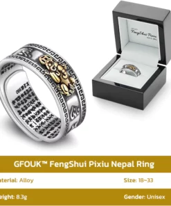 GFOUK™ FengShui Pixiu Nepal Ring