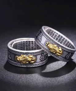 GFOUK™ FengShui Pixiu Nepal Ring