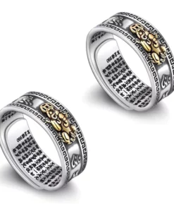 GFOUK™ FengShui Pixiu Nepal Ring