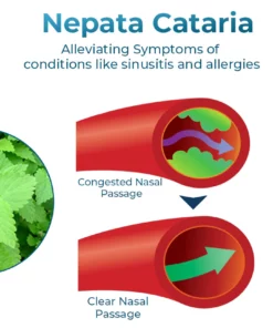 GFOUK™ NasoCalm Nasal Wellness and Turbinate Comfort Spray