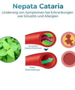 GFOUK™ NasoCalm Wellness für die Nase und Turbinate Comfort Spray