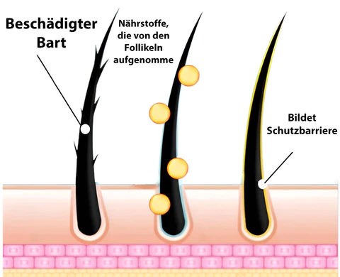 AEXZR™ Bartverdunkelungs-Barshampoo