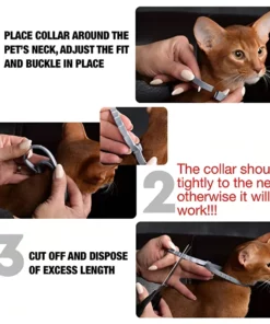 Anti Flea & Tick Pet Necklace