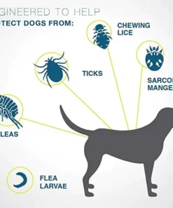Anti Flea & Tick Pet Necklace