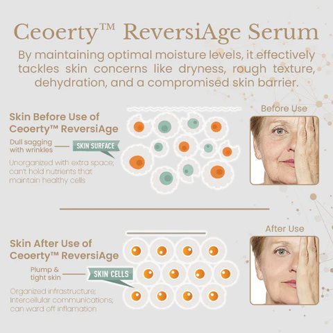 Ceoerty™ ReversiAge NMN Collagen Serum