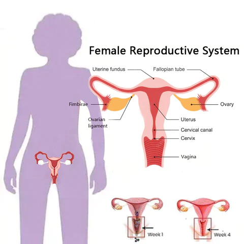 DOCTIA® Instant Itch Relief & Natural Detox & Firming Repair & Pink and Tender Natural Capsules