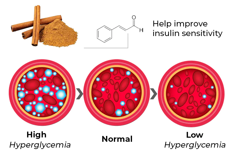 GFOUK™ SugarSync Gesundheit Kontrole Aerosolizer