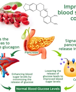 GFOUK™ SugarSuppl Health Control Spray