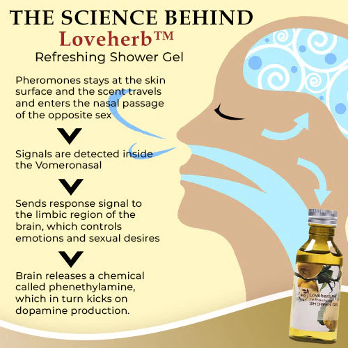 Loveherb™ Refreshing Shower Gel - Image 4