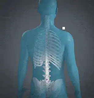 Wewersh® JointRevive Bone Healing Gel Roll-On