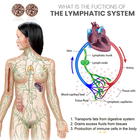 CZTICLE™ Magnetologie Lymphvity Germanium Ohrringe