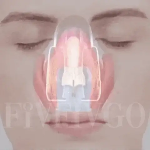 Fivfivgo™ Magic Nose Shaper Device