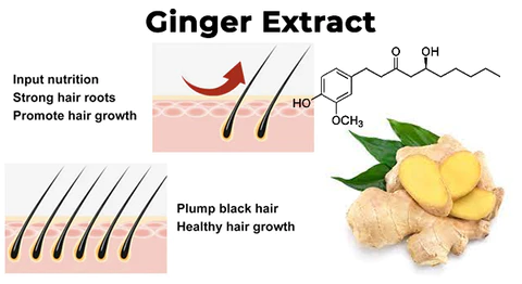 Fivfivgo™ Biotin Hair Growth Essence Spray
