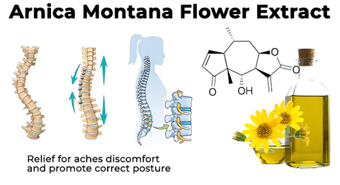 Fivfivgo™ DeerAntler Gelenk- und Knochentherapie-Balsam