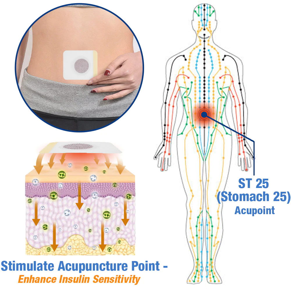 GFOUK™️ GlucoGuard Health Balance Patch