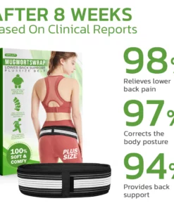 GFOUK™ Mugwortswrap Lower Back Support Belt