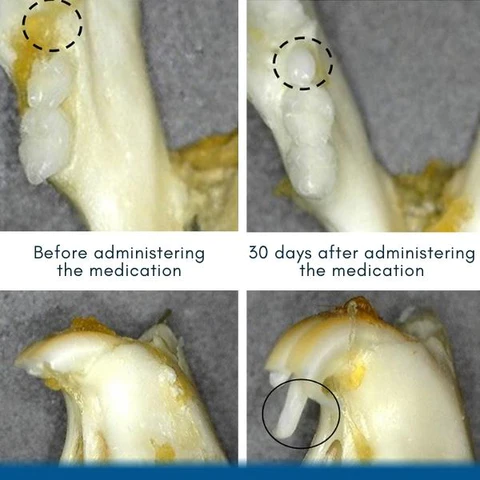 GFOUK™ Shark Cartilage Protein Dental Regrowth Drops