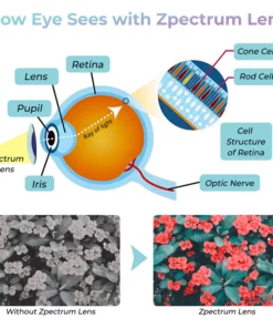 GFOUK™ Zpectrum Colorblind Glasses