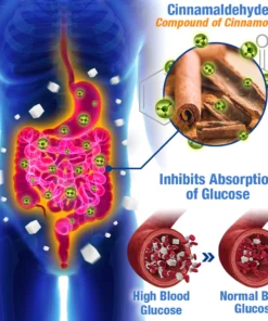 GFOUK™️ GlucoGuard Health Balance Patch