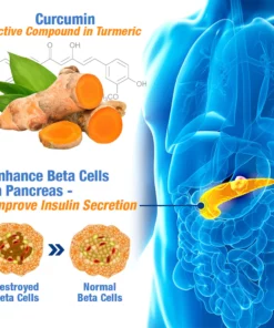 GFOUK™️ GlucoGuard Health Balance Patch