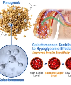 GFOUK™️ GlucoGuard Health Balance Patch