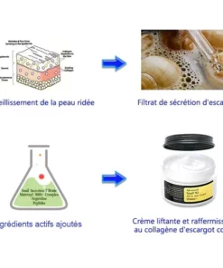 LENARO™ Crème liftante et raffermissante au collagène d'escargot coréen
