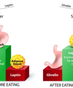 LIMETOW™ Acupressure Slimming Earrings