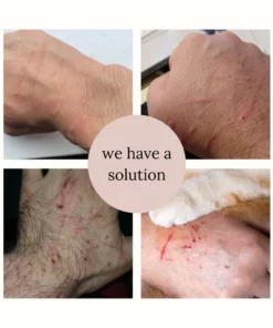 Steam Brush For Cats And Dogs