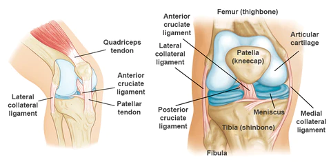 StrongJoints Anti Knee Pain Patch