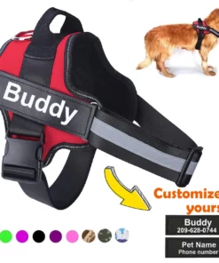 AirOmn™ Personalized No Pull Dog Harness