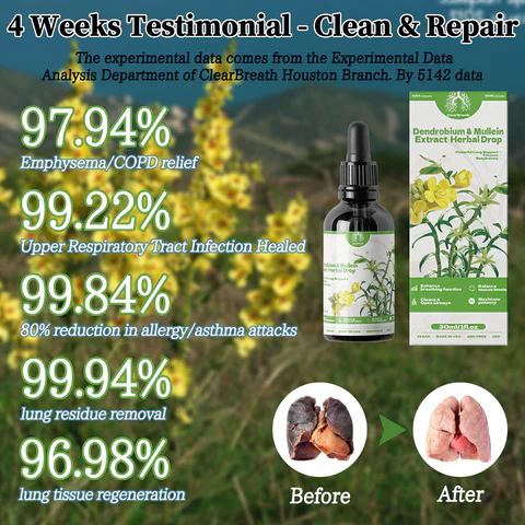 EXTRACT DI DENDROBIUM E MULLEINA RESPIRANTE: POTENTE SUPPORTO PULMONARE PULIZIA E RESPIRATORIO