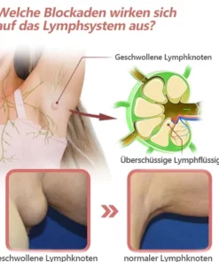 CZTICLE™ Magnetogen Ohrringe für den Lymphfluss