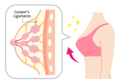 Cuvena™ Breast Enhancement Capsule