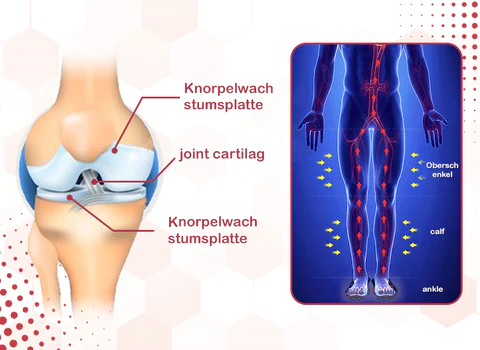 Fivfivgo™ HeightBoost Far Infrared Titanium Ion Arch Correction Insoles