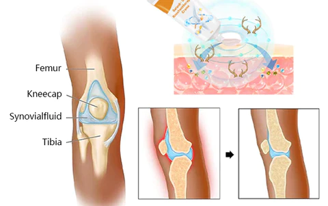 Fivfivgo™ Joint and Bone Therapy Cream