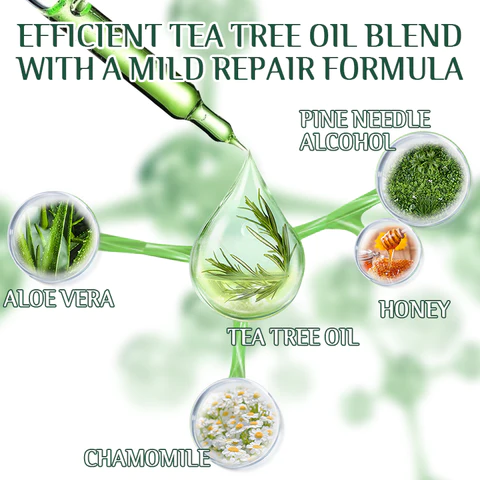 Fivfivgo™ Tea Tree Terpineol Wipes foar it fuortheljen fan oogmyten