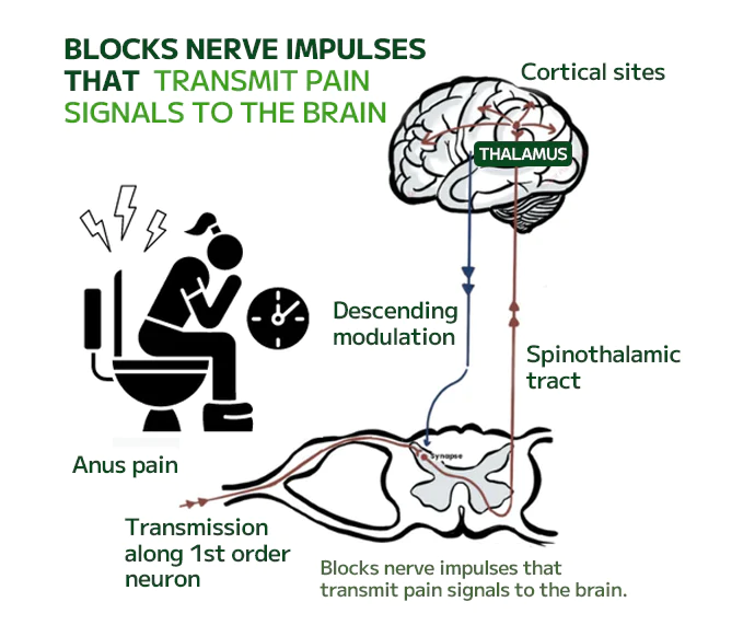 Fivfivgo™ Hemorrhoidal Ointment
