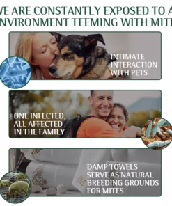 Fivfivgo™ Tea Tree Terpineol Eye Mite Removal Wipes