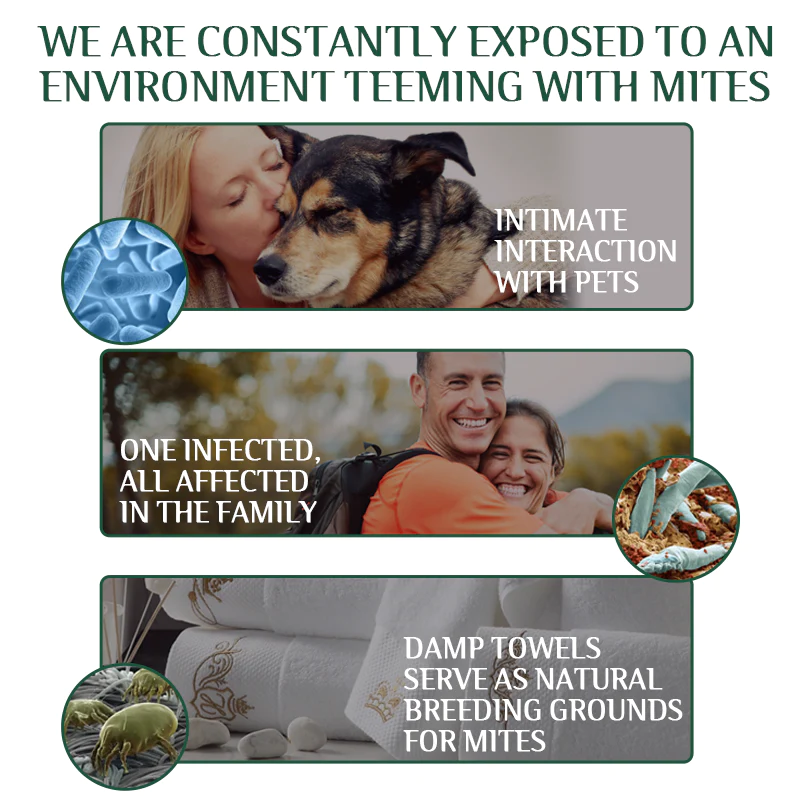 Fivfivgo™ Tea Tree Terpineol Eye Mite Removal Wipes