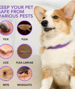 Fivfivgo™ VerminOFF Schädlingsfreier Haustiergesundheitsgürtel