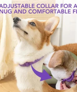 Fivfivgo™ VerminOFF Schädlingsfreier Haustiergesundheitsgürtel