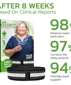 GFOUK™ Mugwortswrap Health Lower Back Support Belt