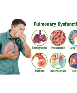 GFOUK™️ BreathePure Respiratory Cleansing Herbal Nasal Device