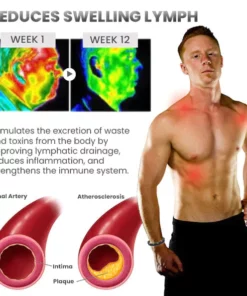 KISSHI™ MAXHematite Beaded Bracelets