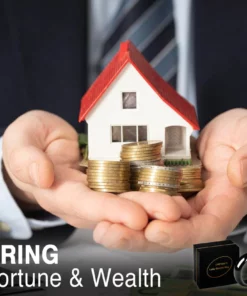 LIMETOW™ Lucky Obsidian Ring