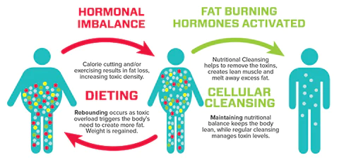 Liascy™ WeightSmart Trainer Bracelet