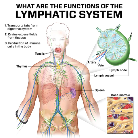 Liascy™ WeightSmart Trainer Bracelet